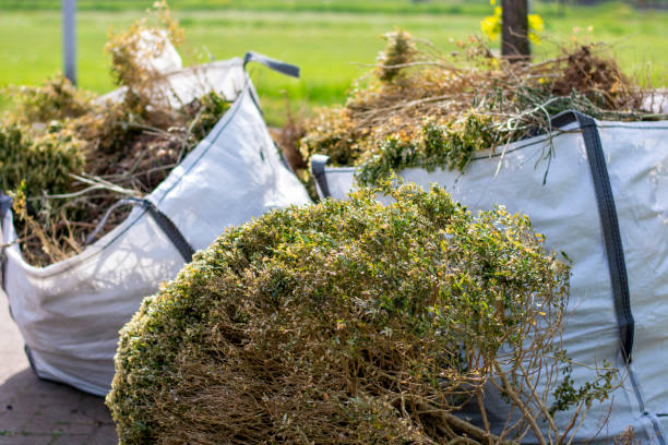 Best Construction Debris Removal  in Winsted, MN